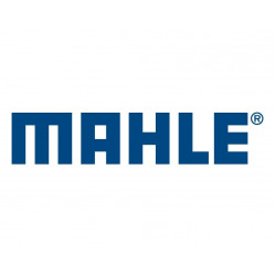 Brand image for Mahle